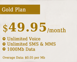 gold plan